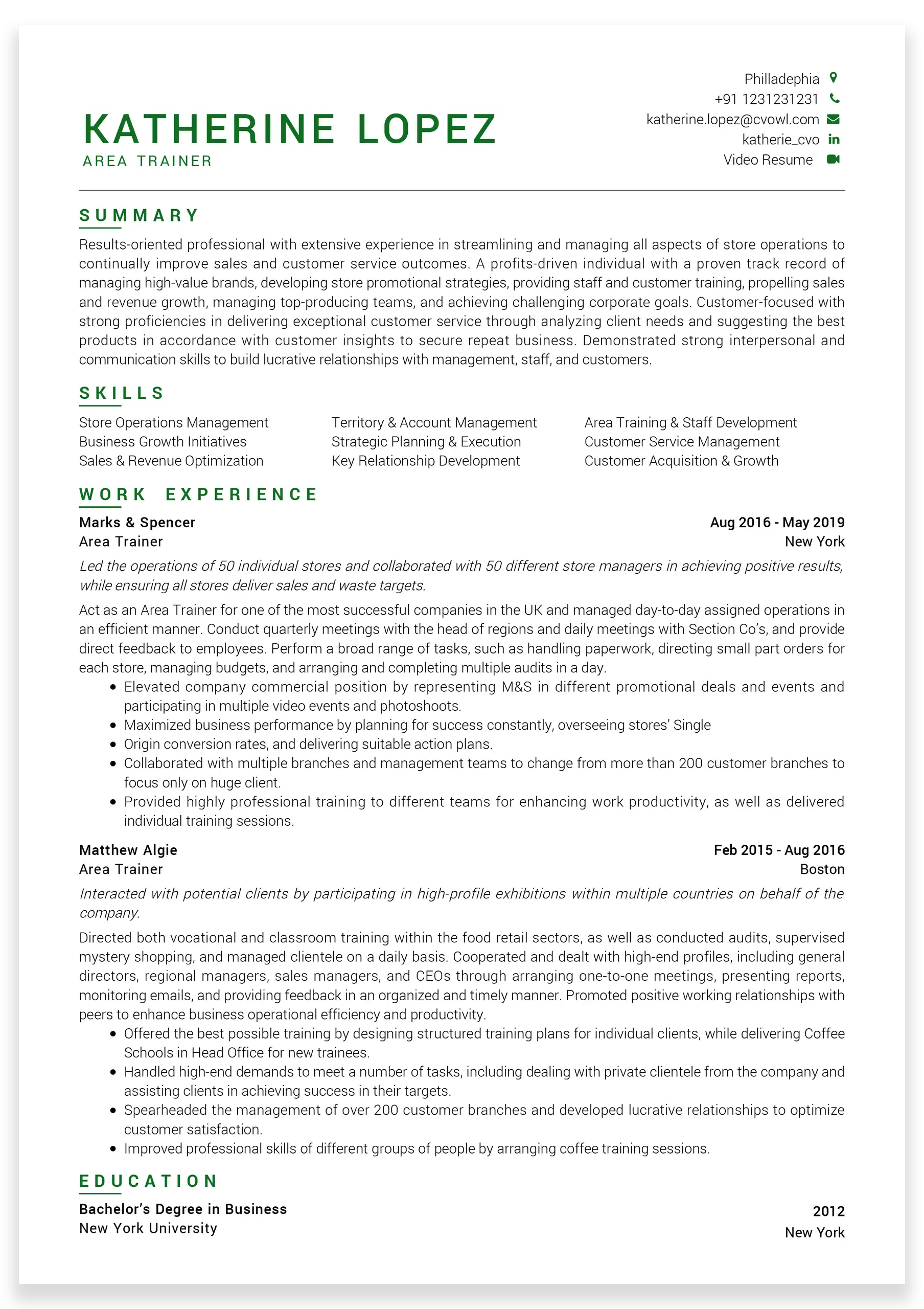 online-resume-template8
